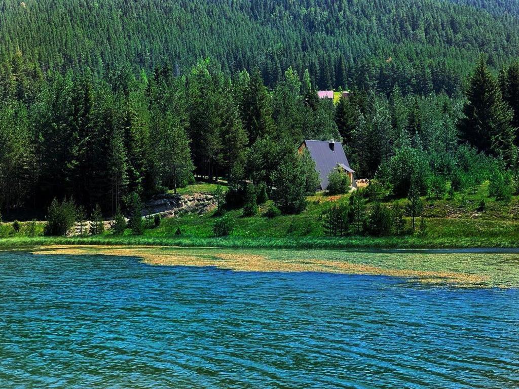 Zminica Lake House Žabljak Exteriör bild
