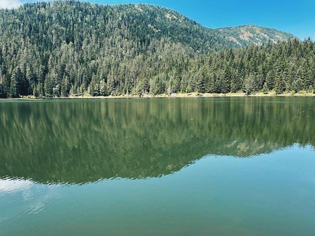 Zminica Lake House Žabljak Exteriör bild