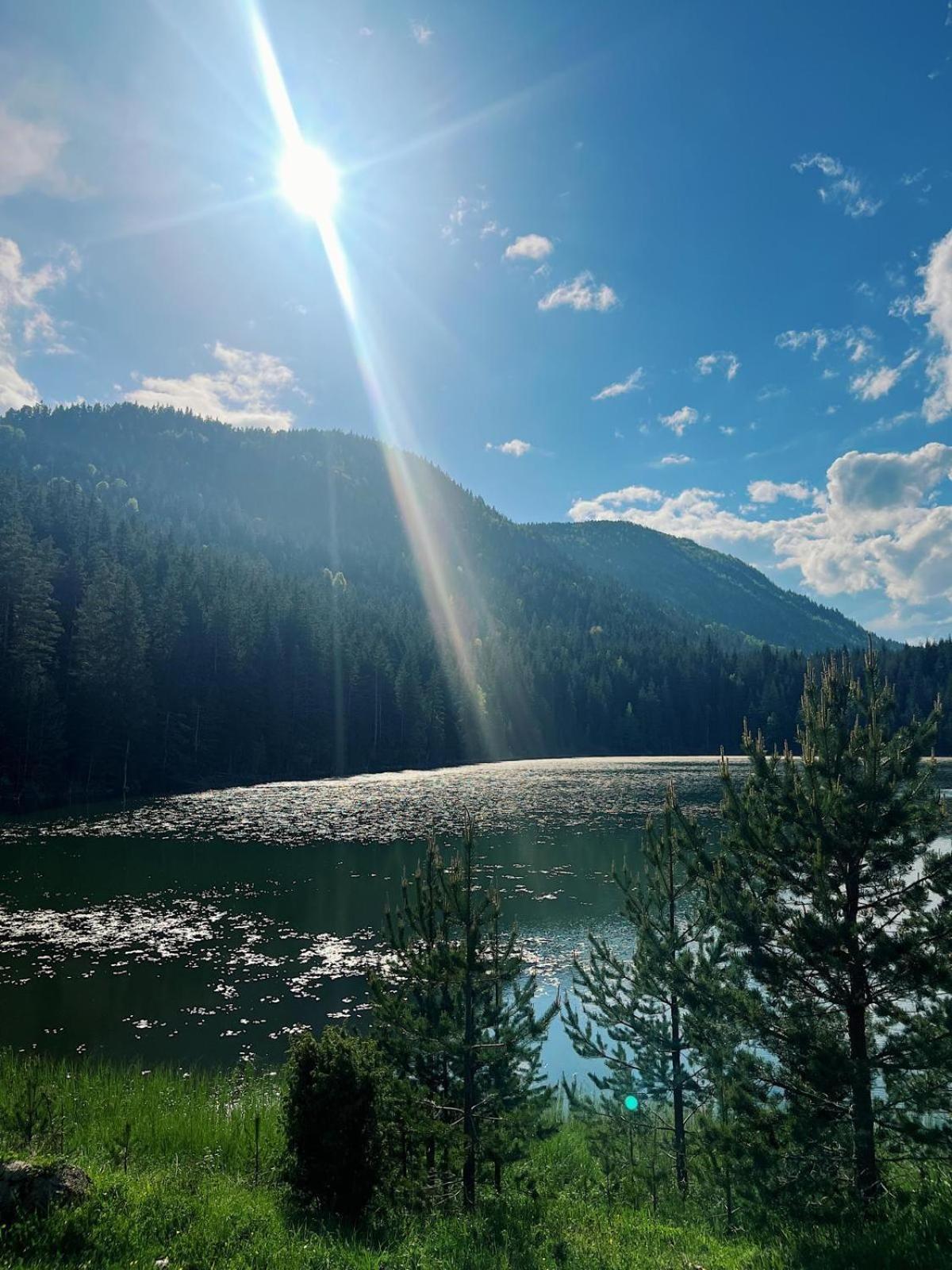 Zminica Lake House Žabljak Exteriör bild