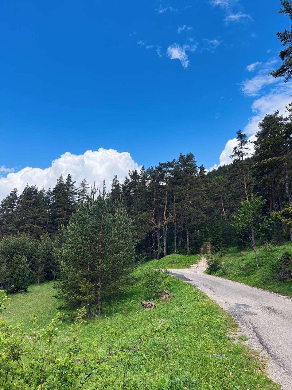 Zminica Lake House Žabljak Exteriör bild