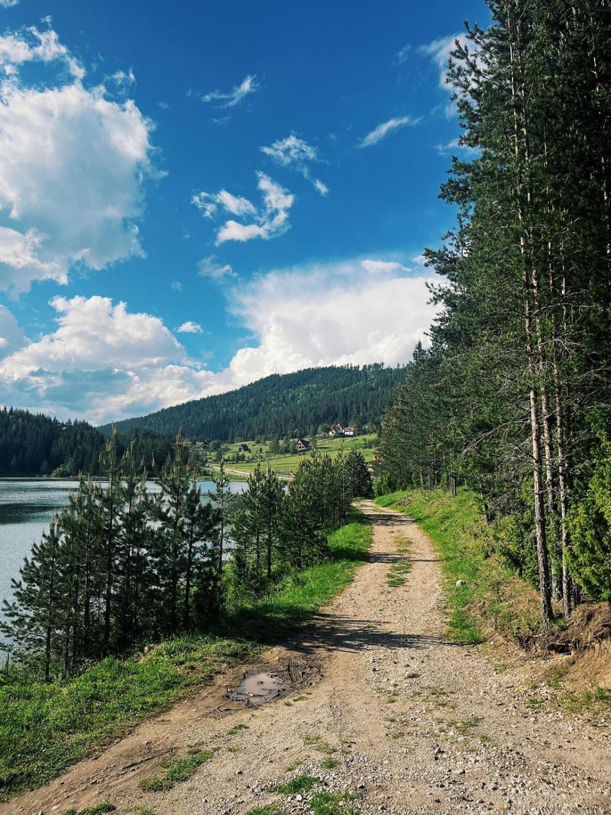 Zminica Lake House Žabljak Exteriör bild