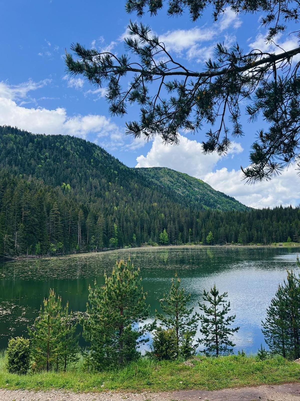 Zminica Lake House Žabljak Exteriör bild