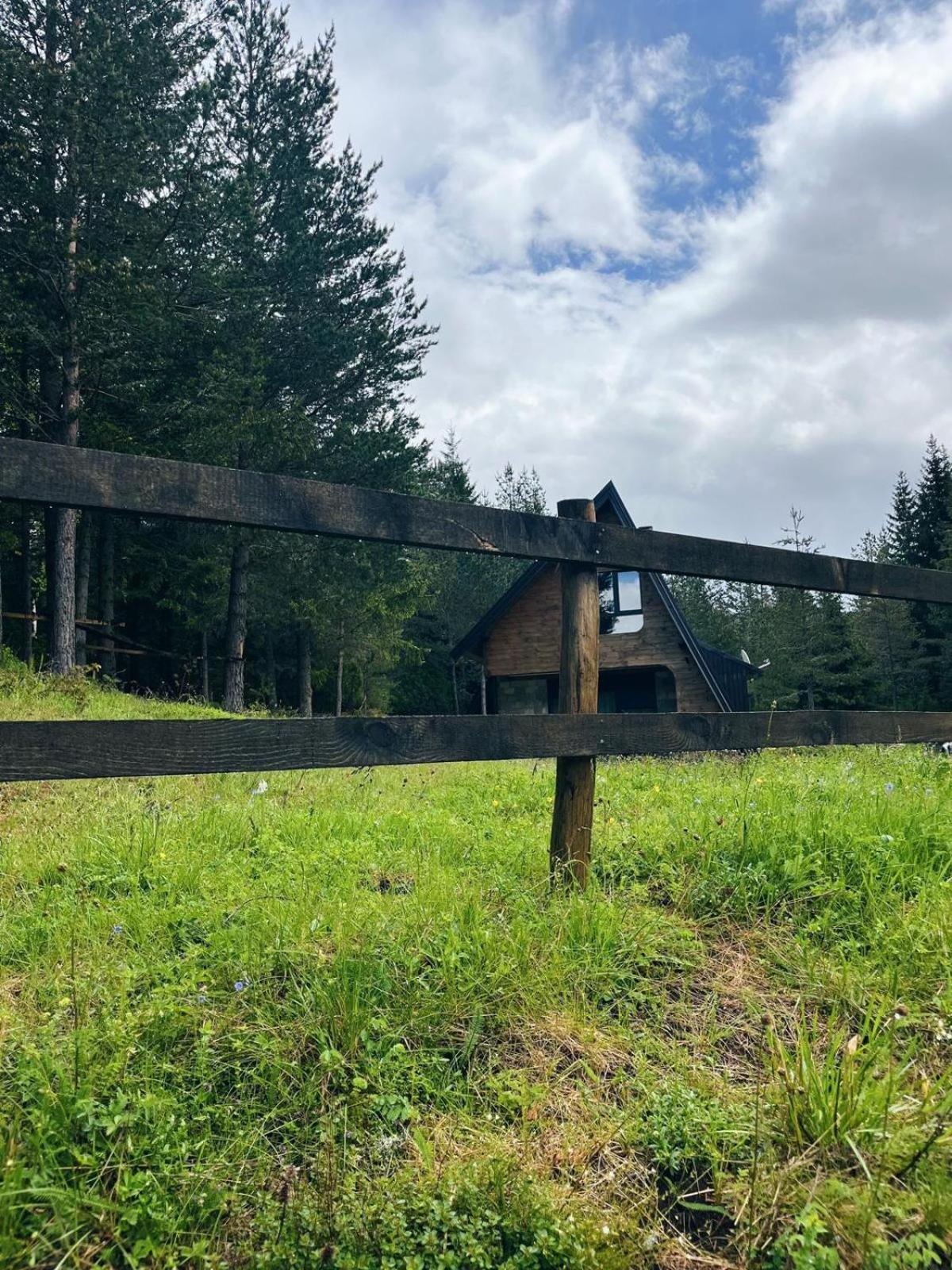 Zminica Lake House Žabljak Exteriör bild